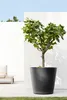 Ecopots Amsterdam Wheels 80 Pot de fleurs - L 80 cm x H Voir les images du produit 11