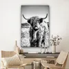 OneMillionCanvasses® - Plátno - Skotský horal - Příroda - Náhled obrázku produktu 7