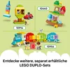 LEGO DUPLO Clasificador de formas casa para cachorros 10441 Vista previa de la imagen del producto 15