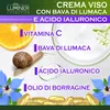 LUMINER Crema viso bava di lumaca 150ml: antirughe e Anteprima dell’immagine prodotto 3