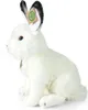 Peluche Lepre Polare 30 Cm Ecologico Anteprima dell’immagine prodotto 4