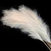 Künstliche Pampasgras,Kunstpflanze, 8Pcs 100 cm,Flauschig Produktbild-Vorschau 2