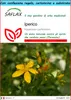 SAFLAX Set regalo - Iperico - 300 semi - Hypericum Anteprima dell’immagine prodotto 1