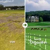 Weidegras Paddock Pferde 15 kg = 1.666 m² Gras für Koppeln Produktbild-Vorschau 2