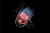 A close-up, transparent view of a vacuum cleaner head with a spinning brush and airflow. Produktbild-Vorschau