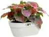Pflanzgefäß Vibia Campana Wandkorb 35cm Seide weiß Produktbild-Vorschau 6