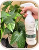 Kalinova | Blattdünger Spray - 500ml - für grüne Pflanzen - Produktbild-Vorschau 8