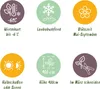 GreenboutiQ - Fleurs de Passions - Passiflora Rainbow - Voir les images du produit 5