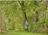 Gardena Akku-Teleskop-Baumschere HighCut 360/18V P4A Produktbild-Vorschau 2