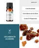 Myrrhe (10ml) - naturreines, ätherisches Öl von wesentlich Produktbild-Vorschau 2