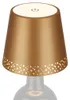 Lampe LED rechargeable en forme de bouteille, dor  mat, 1 Voir les images du produit 1
