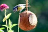 dobar Vogelfutter-Mix zum Aufhängen, gefüllte Kokosnüsse Produktbild-Vorschau 7