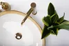 A close-up overhead view of a white sink with a gold rim and faucet, next to a snake plant. Produktbild-Vorschau