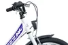 20 Zoll Kinderfahrrad Mädchen Rad mit Rücktrittbremse RH 33 Produktbild-Vorschau 3