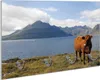Wallario Handtuchhalter aus Glas, Motiv: Kuh in den Bergen, Produktbild-Vorschau 1