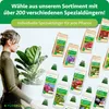Purgrün Hibiskus-Dünger 1 Liter Produktbild-Vorschau 7