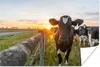 MuchoWow® Poster Kühe - Sonne - Zaun 90x60 cm - Produktbild-Vorschau 1