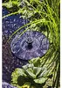Solar Wassergarten AQUATOPIA inkl. Wasserspielpumpe - Produktbild-Vorschau 16