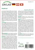 SAFLAX - Verbena - Verbena officinalis - 250 Semená Náhľad obrázku produktu 10