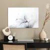 MuchoWow® Poster Katze - Weiß - Großaufnahme 60x40 cm - Produktbild-Vorschau 3