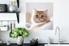 MuchoWow® Poster Katze - Rot - Bett - Mädchen - Kinder - Produktbild-Vorschau 3