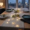 Lichterkette mit 50 LED in warm weiß - 500 cm - Weihnachts Produktbild-Vorschau 3