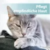 Felisept Hautpflegespray für Katzen 250ml Produktbild-Vorschau 3