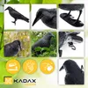 KADAX Black Raven « Krokom », plastique, répulsif pour Voir les images du produit 15