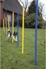 dobar 12-teiliges Agility Slalom Set, Hindernis mit 12 Produktbild-Vorschau 4