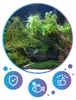 Aquarium Sand Quarzsand Natur weiß 0,5-1 mm, sauber und Produktbild-Vorschau 12