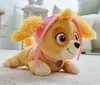 Paw Patrol Maskottchen Skye Gund Plüsch Plüschhund 22 cm Produktbild-Vorschau 3