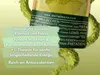 DATTELMANN® - Bio Matcha Pulver 100g - Kulinarische  - Produktbild-Vorschau 4