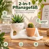 Blumentopf für Sukkulenten, lustiger Pflanztopf mit Produktbild-Vorschau 3