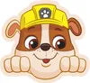 Cuscino Paw Patrol Rubble 40x37cm - Cuscino decorativo in Anteprima dell’immagine prodotto 1