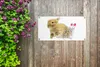 MuchoWow® 80x40 cm Outdoor-Poster Gartendeko Sichtschutz Produktbild-Vorschau 5