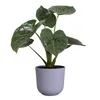 elho jazz rund 19cm lavendel lila Produktbild-Vorschau 15