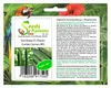 40x Sachikaze Riesen Gurken Gemüse Pflanzen - Samen #41 Produktbild-Vorschau 7