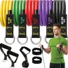 Trizand 25880: Set di 5 elastici di resistenza per esercizi Anteprima dell’immagine prodotto 6