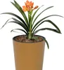 Prosperplast Blumentopf TUBUS SLIM Natur 20 cm Produktbild-Vorschau 8