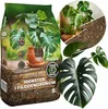 A collage of images showing a bag of plant soil, close-ups of Monstera leaves, and potted plants. Náhľad obrázku produktu