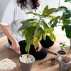 Biovita Gartenbau-Perlit 10L Natürlicher Bodenverbesserer Produktbild-Vorschau 6