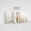 Muralo Leinwand Bilder Set 3 Bilder 30x40cm PFLANZEN Strand Produktbild-Vorschau 2