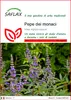 SAFLAX  - Pepe dei monaci - 30 semi - Vitex Anteprima dell’immagine prodotto 1