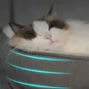 Tierliege Haustierbett für Hund und Katze Größe L 60 × 48 Produktbild-Vorschau 5