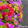 Bougainvillea Nawóz Płynny 1 L – 2-1-8 NPK – Do Kvitnúce Podgląd zdjęcia produktu 6