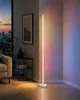 LED hoeklamp, staande lamp, 147,5 cm, RGB & warmwit, met Productafbeelding-voorbeeld 1