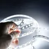LED páska, 12V, 6000K, 5 metrů, 9,6 W/metr, 120 LED/metr, Náhled obrázku produktu 2