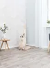 Trixie Kratzbaum 93x47x47 Cm Beige  Beige One Size Produktbild-Vorschau 7