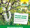 NeudorffBaumanstrich 2L in max. 24h abgebunden - Produktbild-Vorschau 6