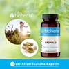 Bioherba Propolis 300 mg 100 Kapseln Produktbild-Vorschau 7